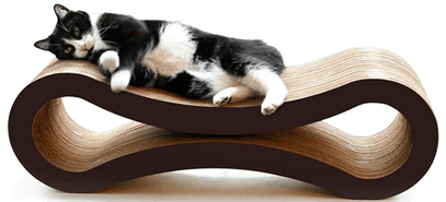 Scratch This NOT That How to Redirect Cat Scratching Preventive Vet